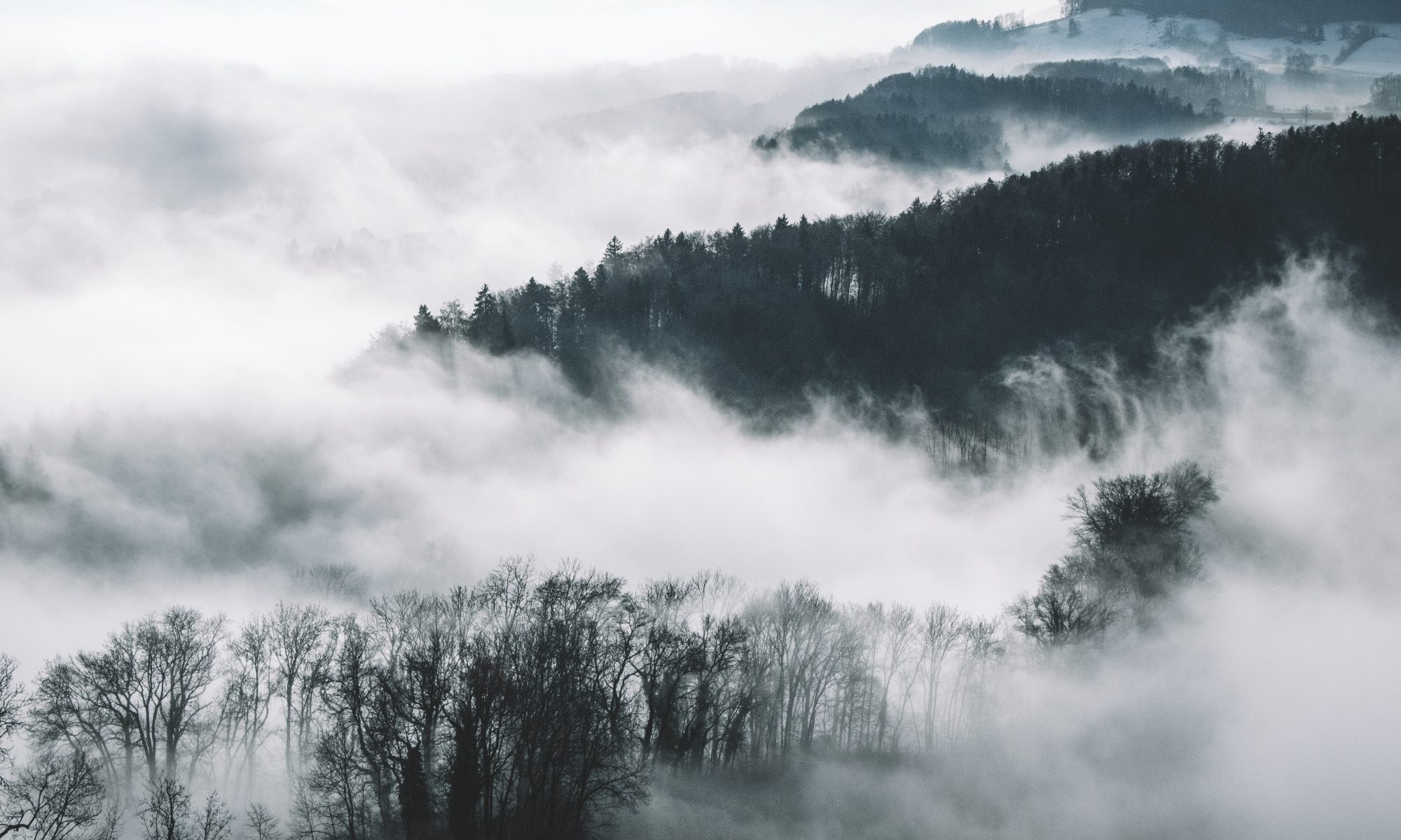 Sea of Fog by Yannick Pulver via Unsplash