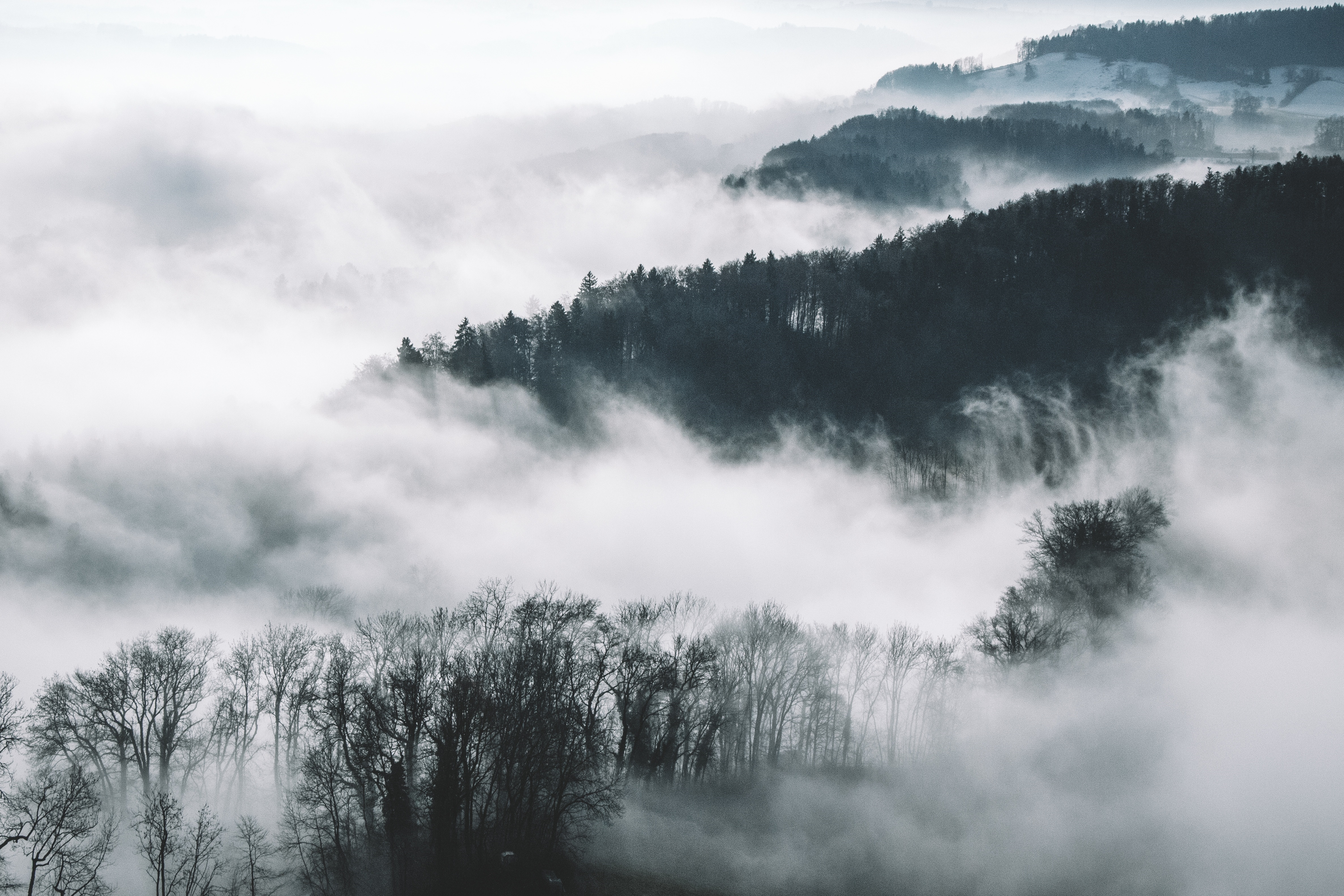 Sea of Fog by Yannick Pulver via Unsplash